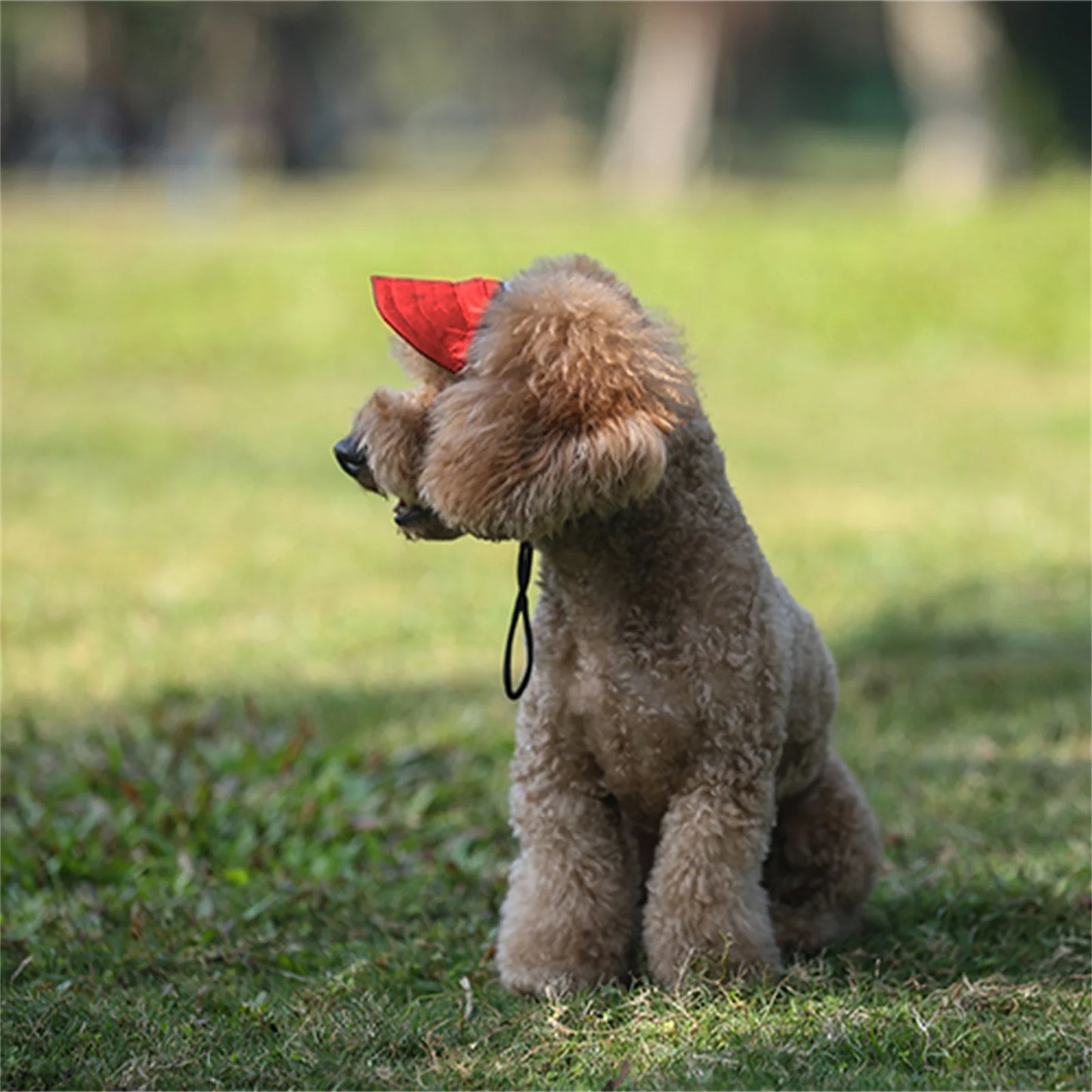 Adjustable Dog Sun Hat - UV Visor & Ear Holes