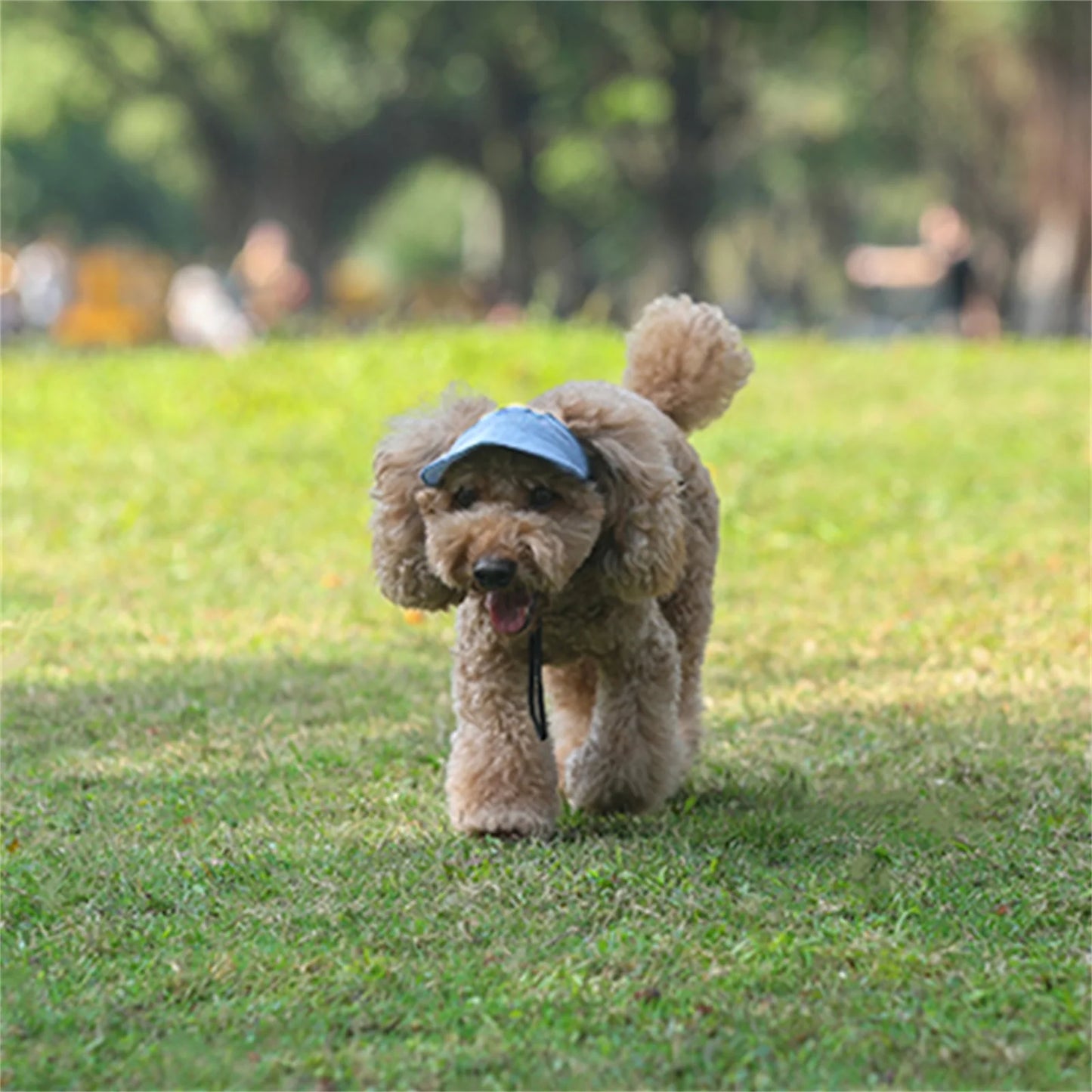 Adjustable Dog Sun Hat - UV Visor & Ear Holes