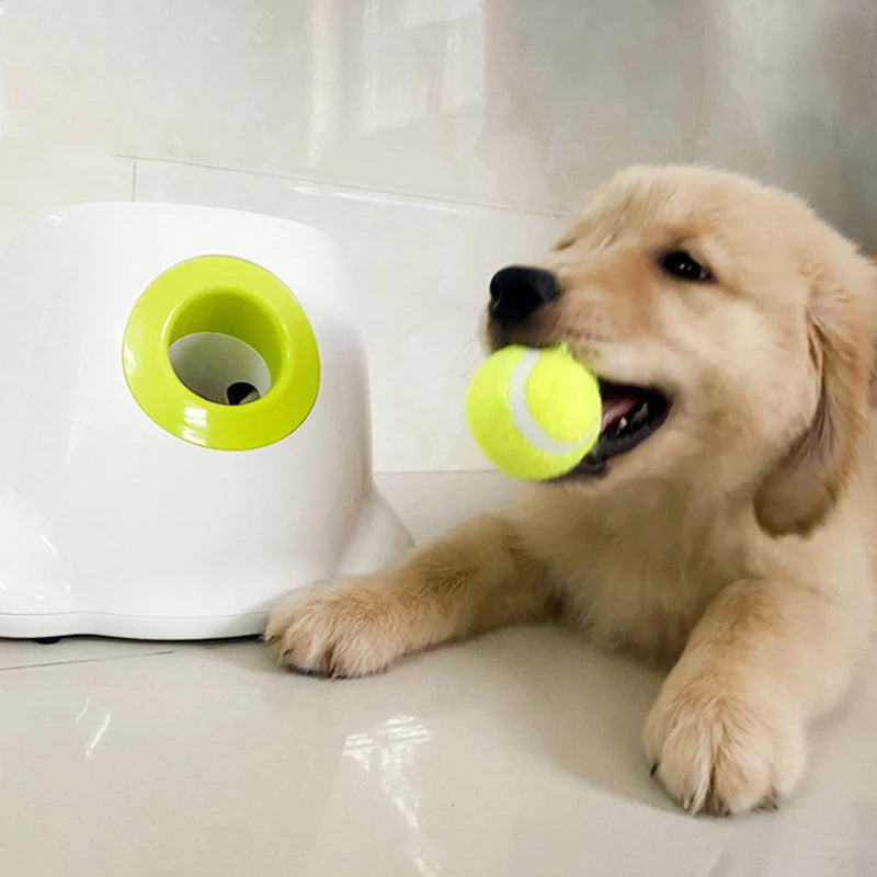 Auto Ball Launcher for Dogs - 3-Speed & 3 Balls Included