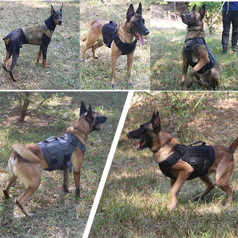 CatDog Tactical Dog Vest - 1050D Nylon & MOLLE Compatible