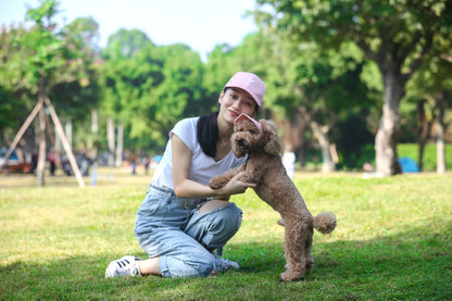 Adjustable Dog Sun Hat - UV Visor & Ear Holes